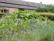 DSCN4355.JPG