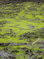 DSCN4368.JPG