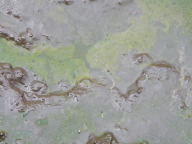 DSCN4370.JPG