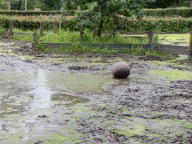 DSCN4371.JPG