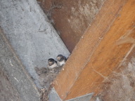 DSCN4384.JPG
