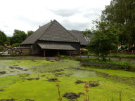 DSCN4429.JPG