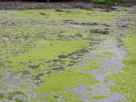 DSCN4432.JPG