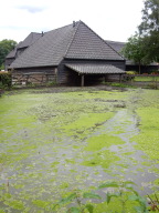 DSCN4433.JPG