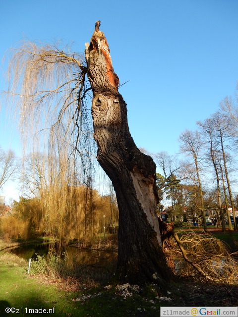 dscn0507.jpg