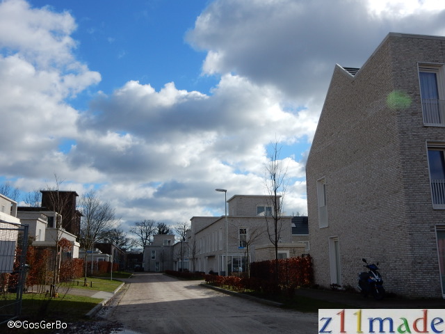 dscn0954.jpg