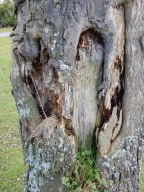 DSCN0918.JPG