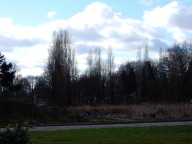 DSCN0929.JPG