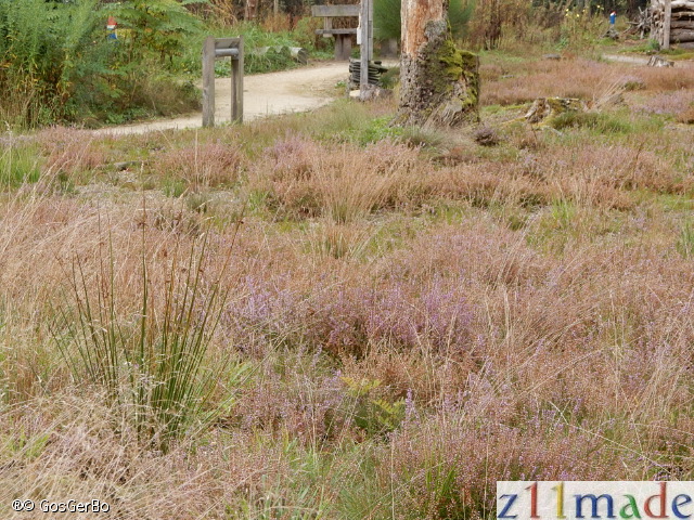 dscn6215.jpg