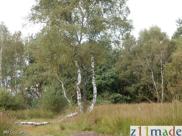 dscn6222.jpg
