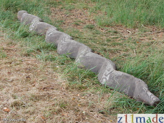 dscn6226.jpg