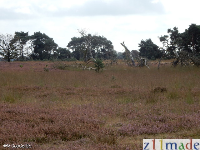 dscn6238.jpg