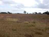 DSCN6231.JPG