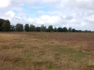 DSCN6232.JPG