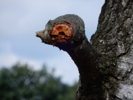 DSCN6234.JPG