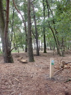 DSCN6239.JPG