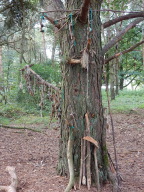 DSCN6240.JPG