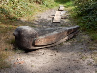 DSCN6247.JPG
