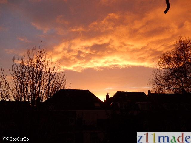 dscn8134.jpg