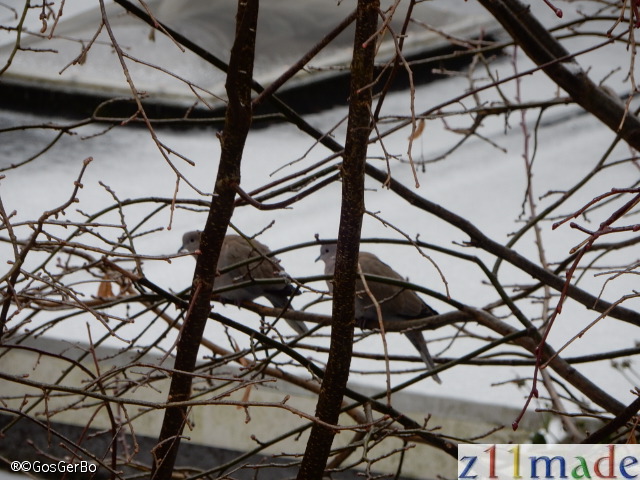 dscn8159.jpg