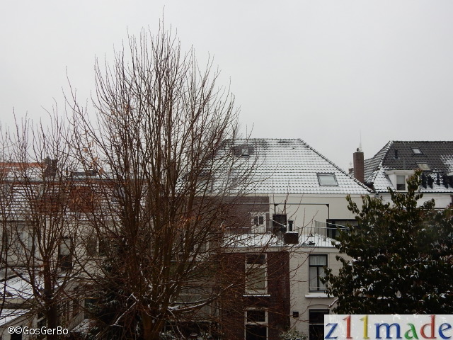 dscn8161.jpg