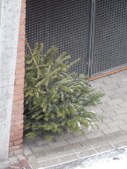 DSCN8179.JPG
