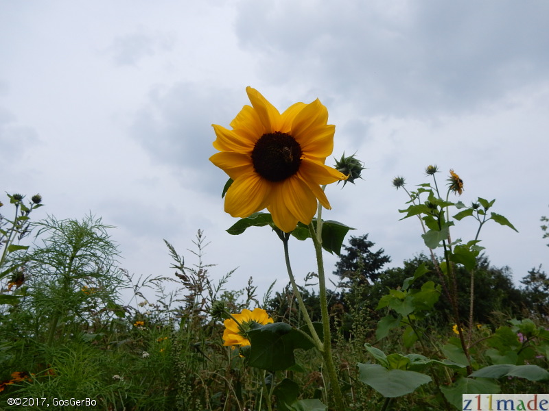 dscn1237.jpg