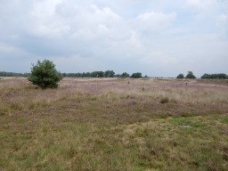 DSCN1127.JPG
