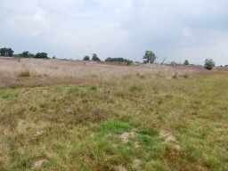 DSCN1128.JPG
