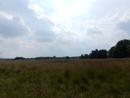 DSCN1136.JPG