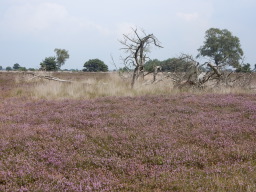 DSCN1138.JPG