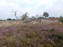 DSCN1144.JPG