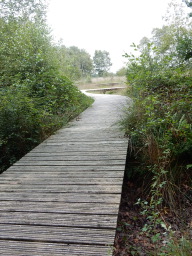 DSCN1166.JPG