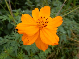 DSCN1225.JPG