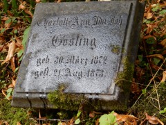 2024.3.aug.osnabruck.friedhof.DSCN9746