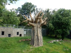2024.2.aug.osnabruck.zoo.DSCN9591