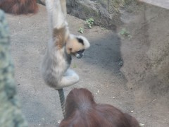 2024.2.aug.osnabruck.zoo.DSCN9672