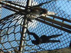 2024.2.aug.osnabruck.zoo.DSCN9683