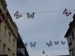 2024.wilhelmshaven.centrum.DSCN5388