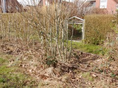 2024.wilhelmshaven.wilhelmsbrucke.DSCN5370