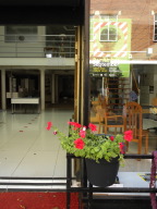 DSCN5295.JPG