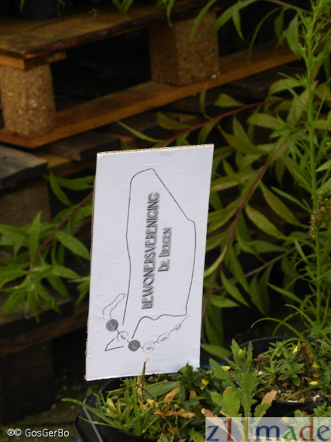 dscn4860.jpg