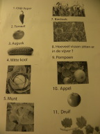 DSCN4859.JPG