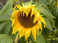 DSCN4861.JPG