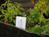 DSCN4862.JPG