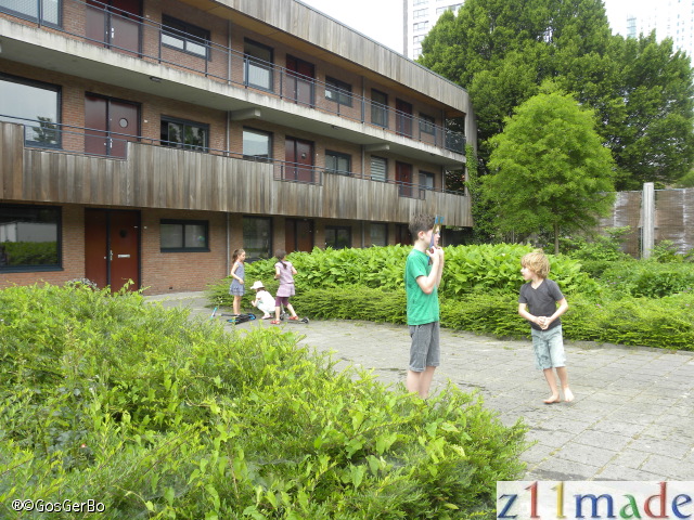dscn3503.jpg