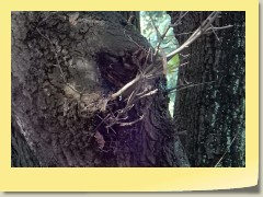 DSCN6843