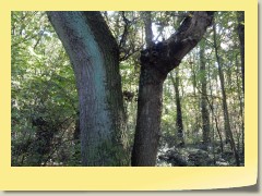 DSCN6844