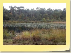 DSCN6897