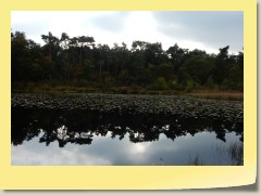 DSCN6902